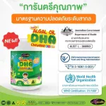 3 แถม 2 เซตจัดเต็มบำรุงสมองลูก AWL ALGAL OiL DHA CHEWABLE 30 แคปซูล  เพียง 1,890 บาท