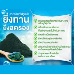 WELNESS SPIRAL Spicy Seaweed, 3 capsules, 3 bottles of Weelness Vitaminc 1 bottle, 60 capsules with free gifts.