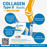 AMSEL COLLAGEN TYPE II PLUS CURCUMIN Type Collagen Nourishing the bone 30 capsule