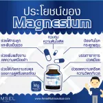 AMSEL MAGNESUM PLUS Amsel Magnesium Plus 30 Capsules