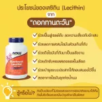 Now Foods, Lecithin/Sunflower Lecithin, 1200 mg 100 Softgels "เลซิติน บำรุงตับ สมองระบบประสาท"