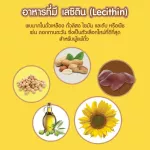 Now Foods, Lecithin/Sunflower Lecithin, 1200 mg 100 Softgels "เลซิติน บำรุงตับ สมองระบบประสาท"