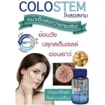 ColOSTEM COPSULES