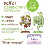 ใหม่!! โซไฟเบอร์ องุ่น 1กล่อง บรรจุ5ซอง