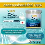 {[en]:VGEN COLLAGEN PLUS TIPEPTIDE TYPE2 & 3 Vinee Collagen Plus Tripen Type 2 & 3 bottles 150 grams