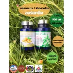 กระชายขาวออร์แกนิค 500 mg. 100 แคปซูล คุณภาพดี จากแหล่งป่าธรรมชาติ 100%