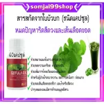 Hemorrhoids, Centella asiatica extracts and fiber Gutula C-E & Giffarine, easy to excrete vegetables, reduce blood sugar levels.