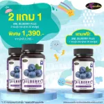 Auswelllife Bilberry ออสเวลล์ไลฟ์ บิลเบอร์รี่ วิตามิน บำรุงสายตาเกรดพรีเมี่ยม ช่วยถนอมดวงตา ต้อกระจก ต้อหิน ต้อเนื้อ ตาเสื่อม . AWL  Bilberry