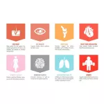 French bark extract Pycnogenol 100 mg 120 Veggie Caps Healthy Origins®