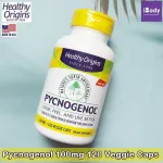 สารสกัดจากเปลือกสนฝรั่งเศส Pycnogenol 100 mg 120 Veggie Caps Healthy Origins®