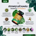 สมุนไพร แคปซูลเพชรสังฆาต 50 แคปซูล. เพชรสังฆาต บรรเทาอาการริดสีดวงทวาร 1 กระปุก ส่งฟรี