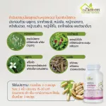 สมุนไพรขับสารพิษ ล้างสเตียรอยด์ที่คั่งค้างในร่างกาย ลดเบาหวาน ลดน้ำตาลในเลือด ฟอกไต รักษาระบบปัสสาวะ 100 แคปซูล