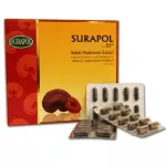 1 box, Dr.Surapol, Ganoderma Extract, Dr. Suraphon 500 mg/ 30 capsule
