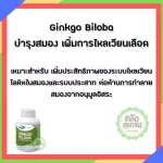 Mega Jingo Billobas, 40 mg, extract from Ginkgo 60 capsules