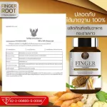 Krachai Herbs, Krachai, White, immunity, balance, reduce acid in the stomach, nourish the heart, brain and bone.