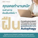 Autophile Plus by Ann Thongprasom Auto Fiel Plus slows down aging, adding immunity, eliminating toxic substances, reducing fat, improved metabolic systems, vitamins for health, 30 capsules