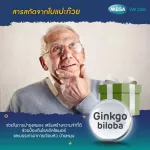 Mega Jingo Billobas, 40 mg, extract from Ginkgo 60 capsules