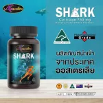 Auswelllife Shark Cartilage 750mg. กระดูกอ่อนปลาฉลาม เพิ่มความยืดหยุ่นให้เอ็นและข้อ บำรุงกระดูกเเละฟันแข็งแรง ขนาด 30 และ 60 แคปซูล