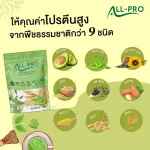 Organic Plant Based Protein All Pro Pea Protein Organic, 9 protein from grains, green tea, UJI, tasty fiber | 760g.