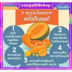 เลซิติน กิฟฟารีน Lecithin Giffarine ผสมแคโรทีนอยด์ และวิตามินอี ดูแลสุขภาพตับได้ 100% แก้ตับแข็ง แก้ไขมันพอกตับ