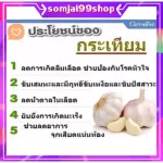 Garcofarine Garicine Giffarine Garlic extract, anti -cold virus, reduce blood fat, allergies, cure herbs.