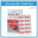 Girls Ganoderi Gangerous Extracted Giffarine Ling Zhi 30 capsules