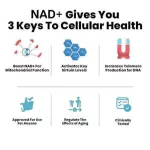 NAD+ Cell Regenerator ™ Nicotinamide Riboside 300 mg 30 Capsules Life Extension®