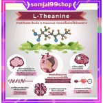 L Theanine Giffarine 50 Giffarine L-Theainee relies on insomnia, reduce stress, sleep comfortably, insomnia, sleep quality, increase meditation, relax.