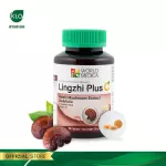 Khalalaor White Lin Chu Plus Ganoderma lucidum mixed with 60 vitamin C/bottles
