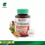 Khalalaor White Cordis-L Cordyceps mixed with Kui and protein extracted from 36 capsules/bottles.
