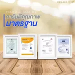 Real Elixir FISH OIL น้ำมันปลา สกัด 1,000 mg. 100 เม็ด