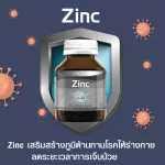 AMSEL ZINC Vitamin Premix Amsell Sink Plus Vitamin Chand 60 capsule