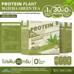 Protein Plants protein planet, Matcha green tea flavor from 3 plants, organic protein, protein from peas, peas, instant potatoes, 1 box of powder, 7 sachets, 350 grams.