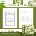 Protein Plants protein planet, Matcha green tea flavor from 3 plants, organic protein, protein from peas, peas, instant potatoes, 1 box of powder, 7 sachets, 350 grams.