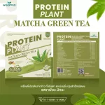 Protein Plants protein planet, Matcha green tea flavor from 3 plants, organic protein, protein from peas, peas, instant potatoes, 1 box of powder, 7 sachets, 350 grams.