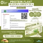 Protein Plants protein planet, Matcha green tea flavor from 3 plants, organic protein, protein from peas, peas, instant potatoes, 1 box of powder, 7 sachets, 350 grams.
