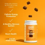 Goli Multivitamin Bites for Daily Health, Chocolate healthy desserts, healthy vitamins