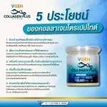 {[en]:VGEN COLLAGEN PLUS TIPEPTIDE TYPE2 & 3 Vinee Collagen Plus Tripen Type 2 & 3 bottles 150 grams