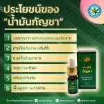 Cannabis Extracted Oil hemp