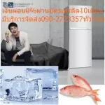 Haier Refrigerator 17.9 Q 499 liters HRFTHM49I Inverter Normal 29,995 Buy and have no replacement in all cases. New products guaranteed by the manufacturer of Haier 2 -door refrigerator, size 17.9QHRF.