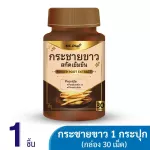 MC.Plus Finger Root, 1 Krachai Dietary Supplement, 30 capsules