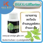 EGCG Giffarine EGCG Green Tea Extract Metabolism