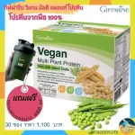 Protein from plants, protein, weight loss Giffarine protein, Vigan VEGAN GIFFARINE, total weight of 602.66 grams, containing 30 sachets