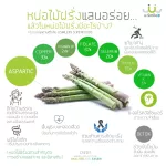 ผักนาโน uSmile101ผงผักนาโนหน่อไม้ฝรั่ง เพื่อสุขภาพ