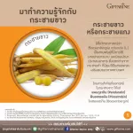 Giffarine Giffarine Krachai-Plus Krachai-PLUS Krachai, beta-glucan powder, antioxidant, anti-virus, bacteria, bacteria, cancer cells Reduce the destruction of liver 60 capsules