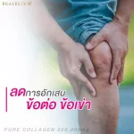 Real Elixir Pure Collagen 100g.เพียว คอลลาเจน - แพ็ค 4 กระปุก