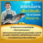 Giffarine Fish Oil Fish Oil, 1,000 mg, 90 capsules