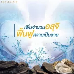 Real Elixir L-ARGININE PLUS 30's, 30 oysters extract