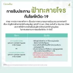 กิฟฟารีน Giffarine ยาแคปซูลฟ้าทะลายโจรสกัด FA-THALAI-JOAN EXTRACT CAPSULE, Extract of Andrographis paniculata leaves 30 แคปซูล Capsules 48009