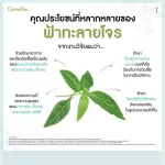 กิฟฟารีน Giffarine ยาแคปซูลฟ้าทะลายโจรสกัด FA-THALAI-JOAN EXTRACT CAPSULE, Extract of Andrographis paniculata leaves 30 แคปซูล Capsules 48009